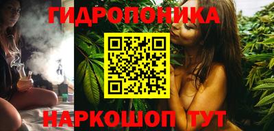 гидропоника Можга