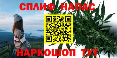 гидропоника Можга