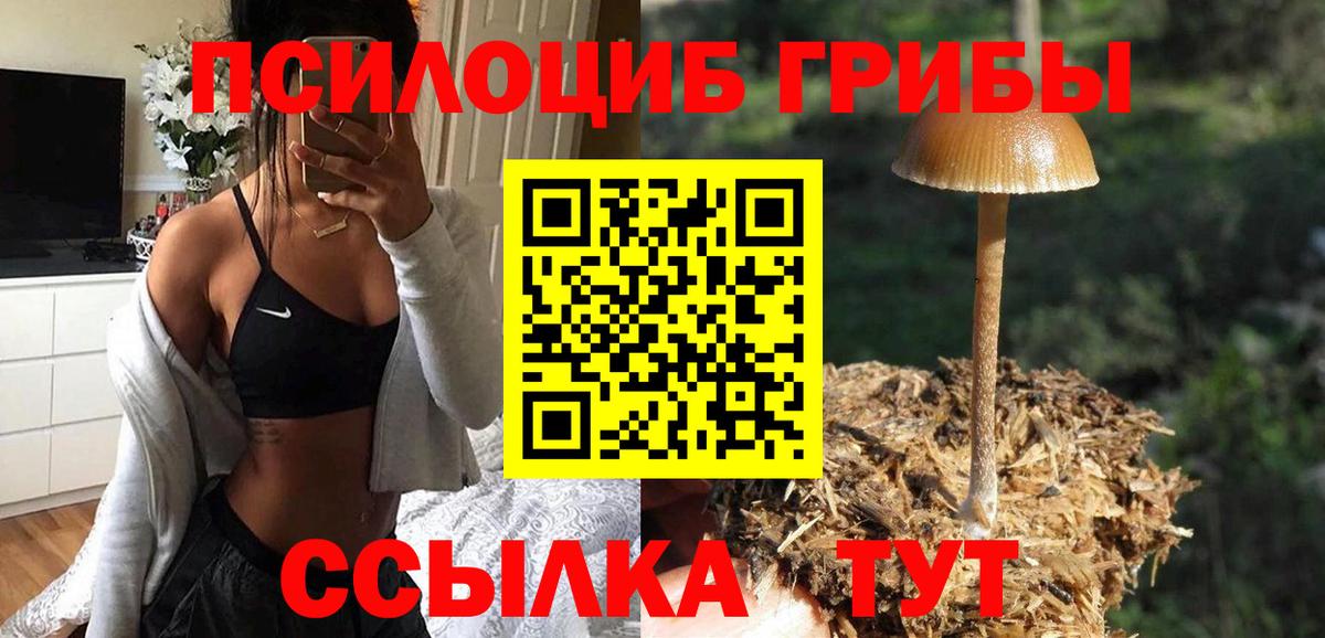 Сочи  Галлюциногенные грибы Psilocybine cubensis  Вход с VPN 